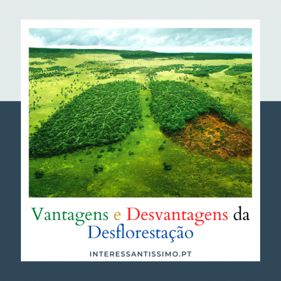 🌳 As Vantagens e Desvantagens da Desflorestação 🪓