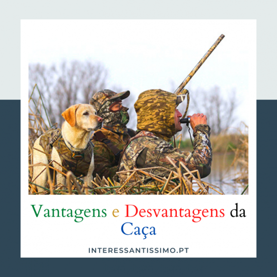 As Vantagens e Desvantagens da Caça - Jornal-E